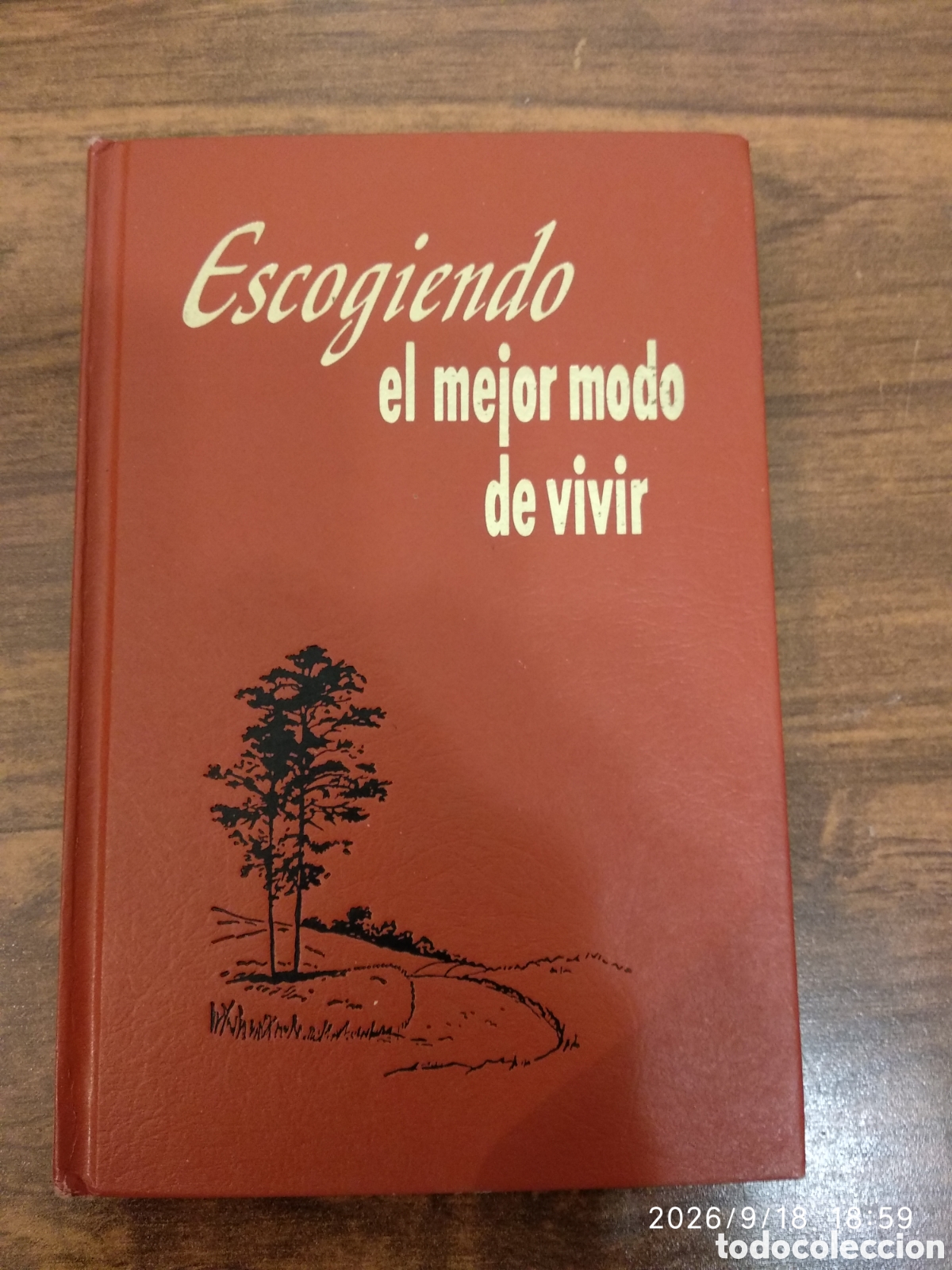 Libros de segunda mano: Escogiendo el mejor modo de vivir
