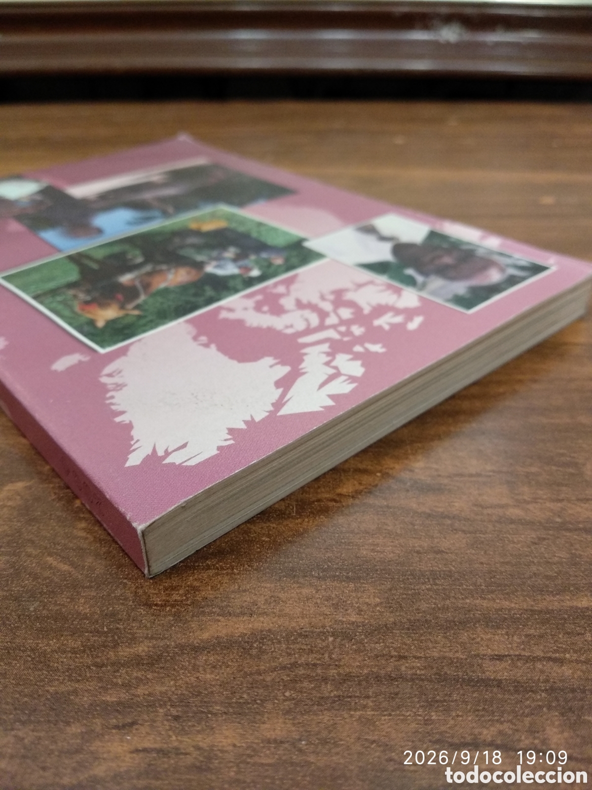 Libros de segunda mano: Anuario de los testigos de Jehov&aacute; 2004 - Foto 9
