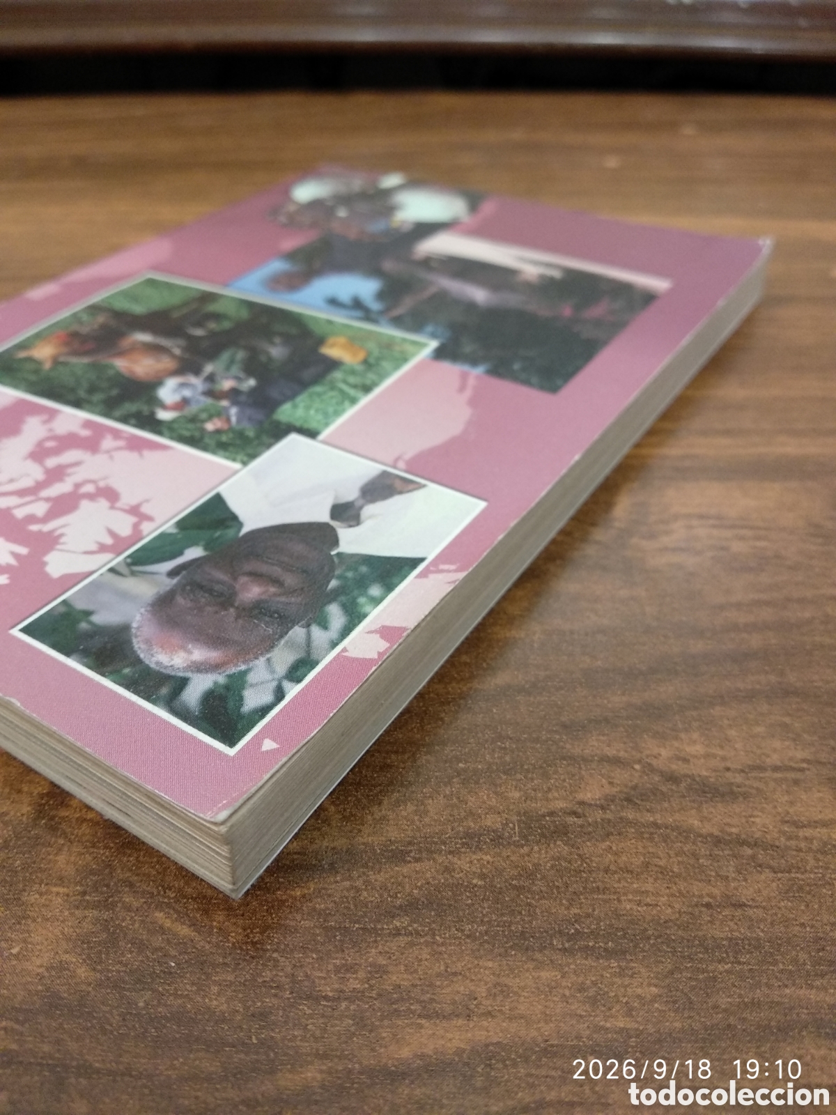 Libros de segunda mano: Anuario de los testigos de Jehov&aacute; 2004 - Foto 10