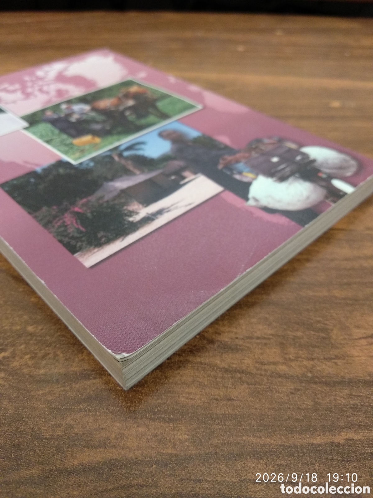 Libros de segunda mano: Anuario de los testigos de Jehov&aacute; 2004 - Foto 11