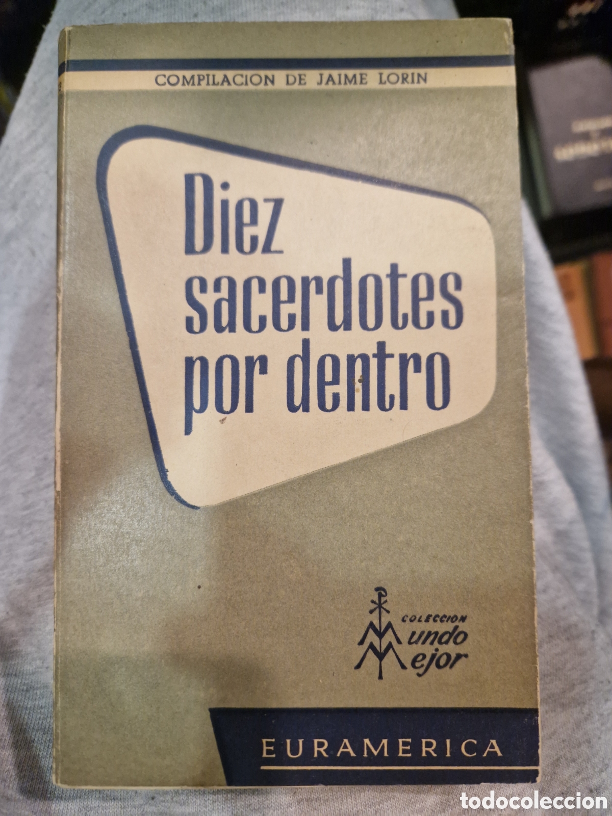 Libros de segunda mano: DIEZ sacerdotes por dentro