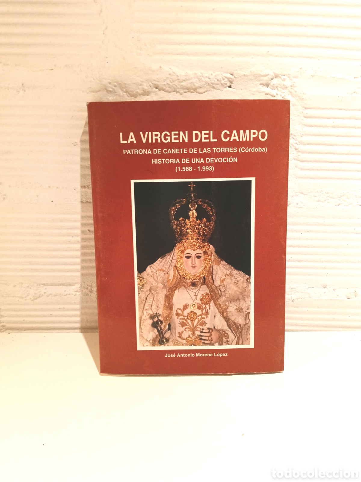 Libros de segunda mano: Libro La Virgen del Campo