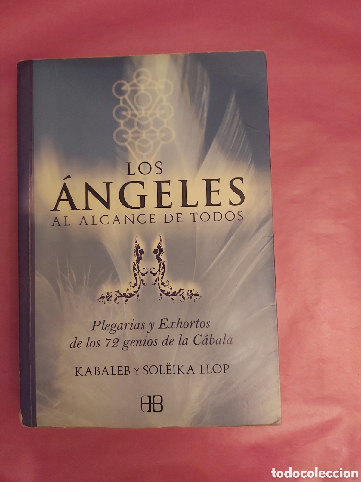 Libros de segunda mano: LOS &Aacute;NGELES AL ALCANCE DE TODOS PLEGARIAS Y EXHORTOS DE LOS 72 GENIOS DE LA CABALA KABALEB Y SOLEIKA