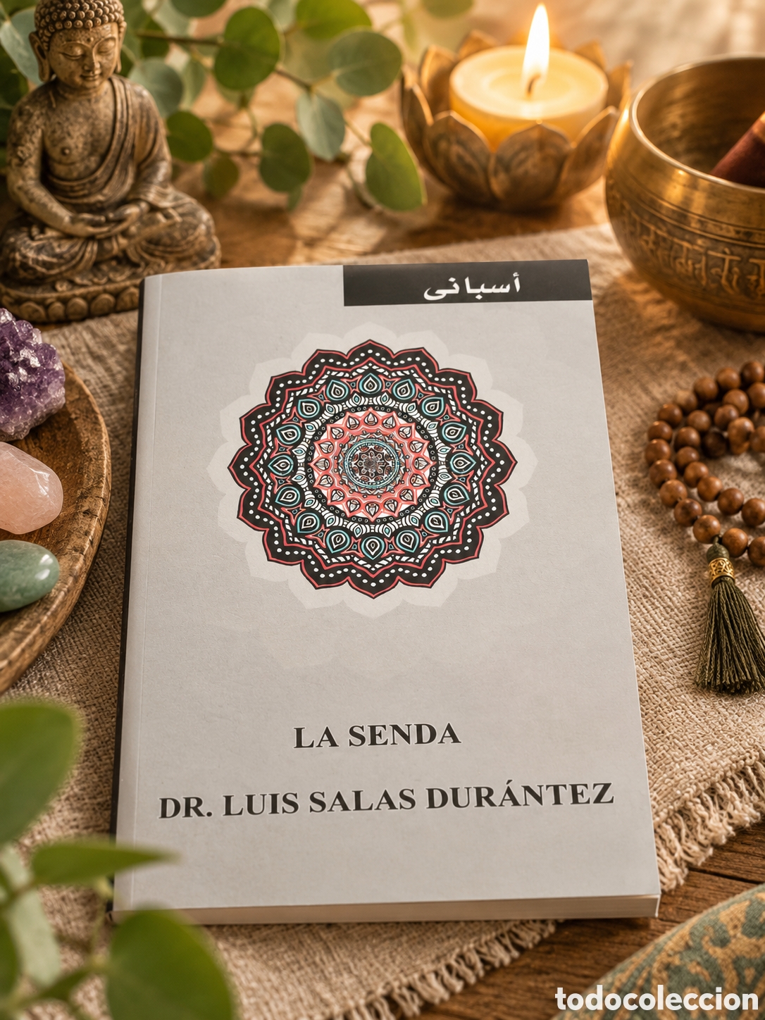 Libros de segunda mano: LA SENDA &mdash; Dr. Luis Salas Dur&aacute;ntez