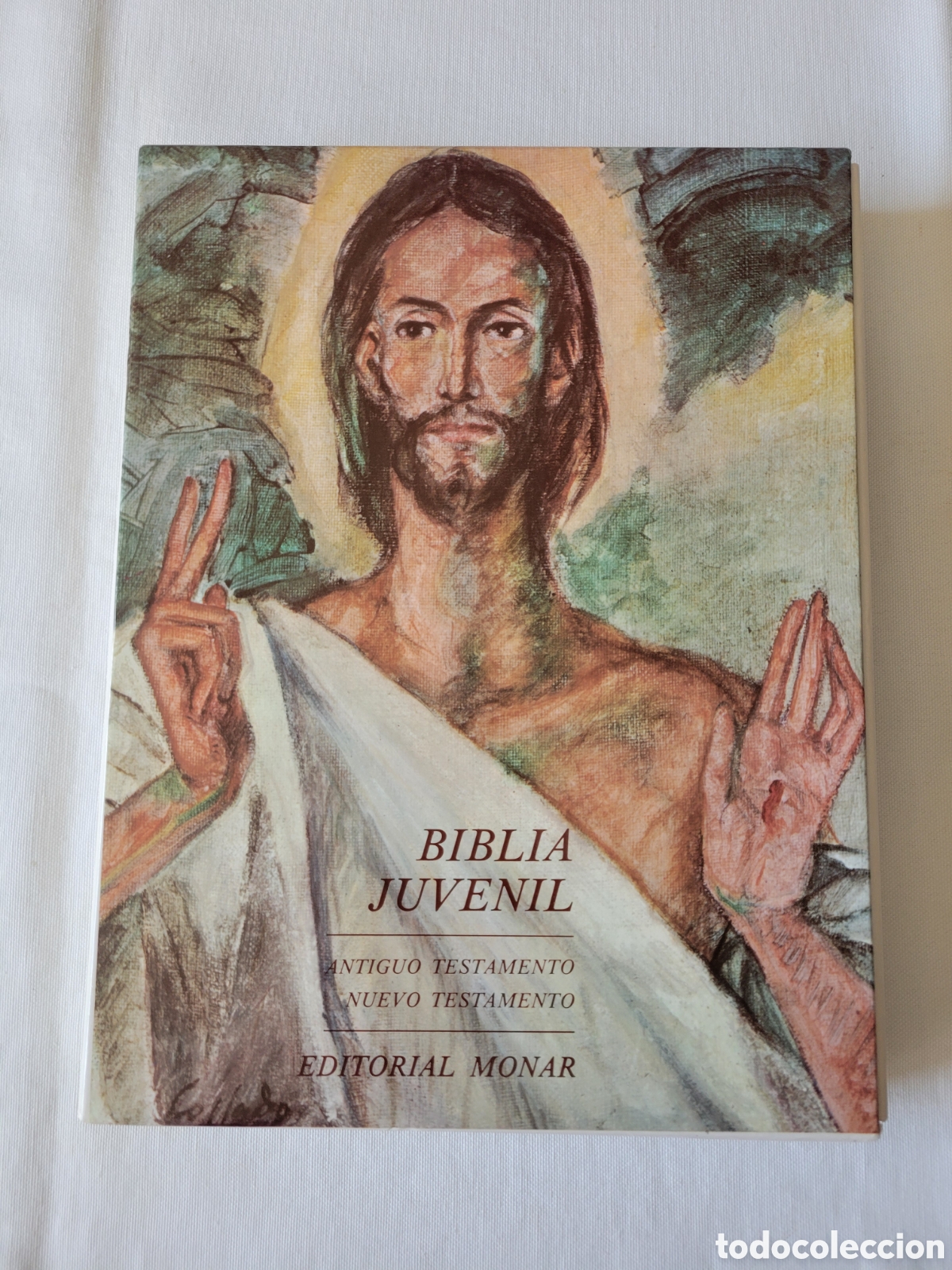 Libros de segunda mano: CONJUNTO BIBLIAS ANTIGUO Y MODERNO TESTAMENTO. DOS TOMOS. EDITADO POR MONAR 1998