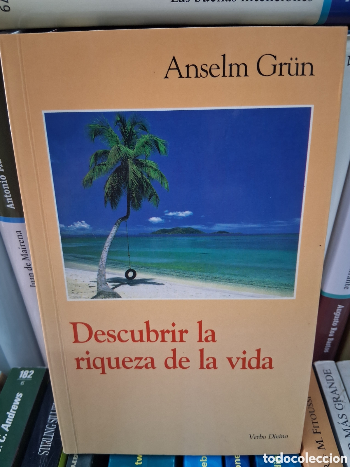 Libros de segunda mano: Descubrir la riqueza de la vida. Anselm Gr&uuml;n- Verbo divino