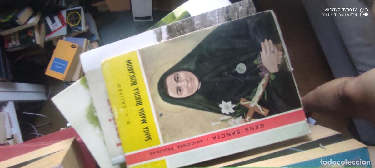 Libros de segunda mano: Santa Mar&iacute;a Bertila Boscard&iacute;n, de las Hermanas Maestras de Santa Dorotea.- Caliaro, Luigi