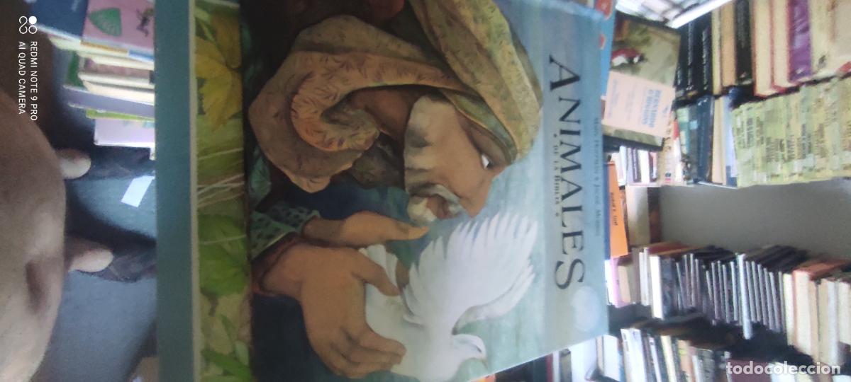 Libros de segunda mano: Animales de la Biblia - Mary Hoffman, Jackie Morris