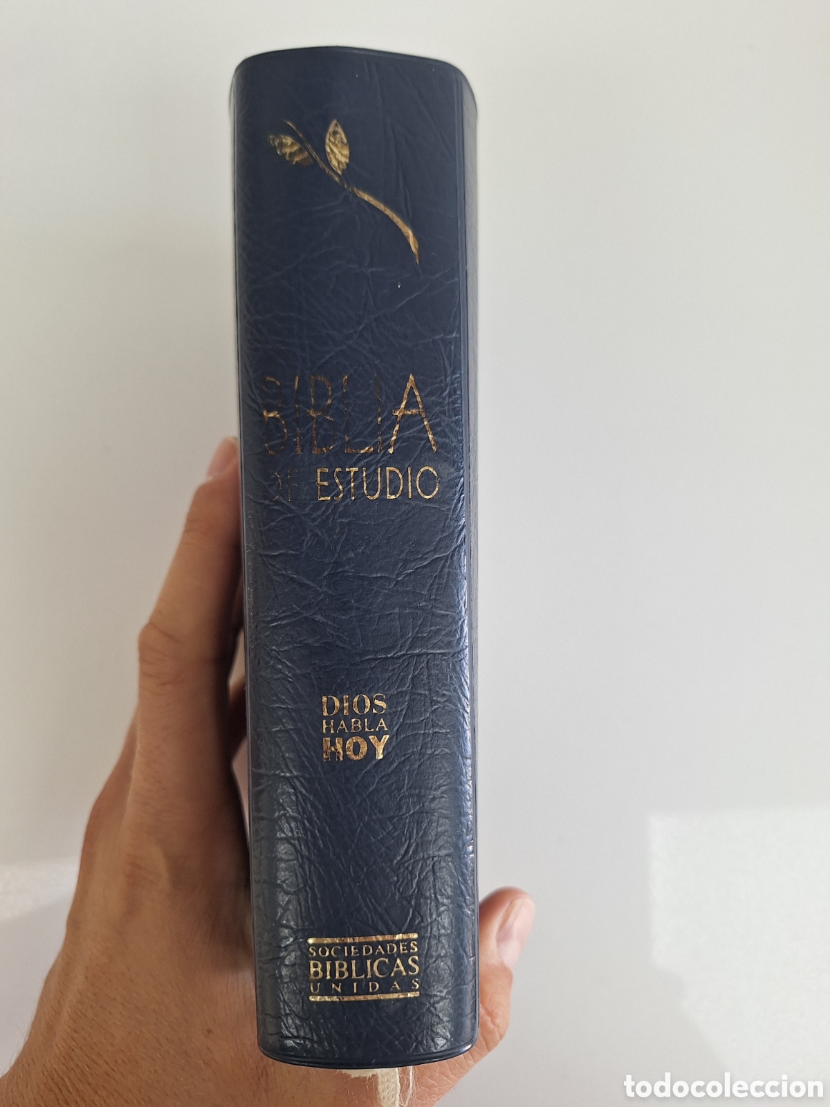 Libros de segunda mano: La Biblia de Estudio Dios Habla Hoy
