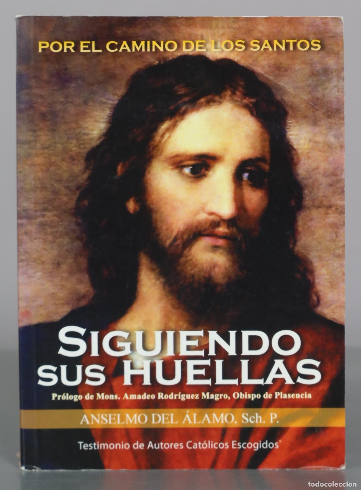 Gebrauchte B&uuml;cher: Siguiendo sus huellas - Anselmo del &Aacute;lamo - Testimonio de Autores Cat&oacute;licos Escogidos