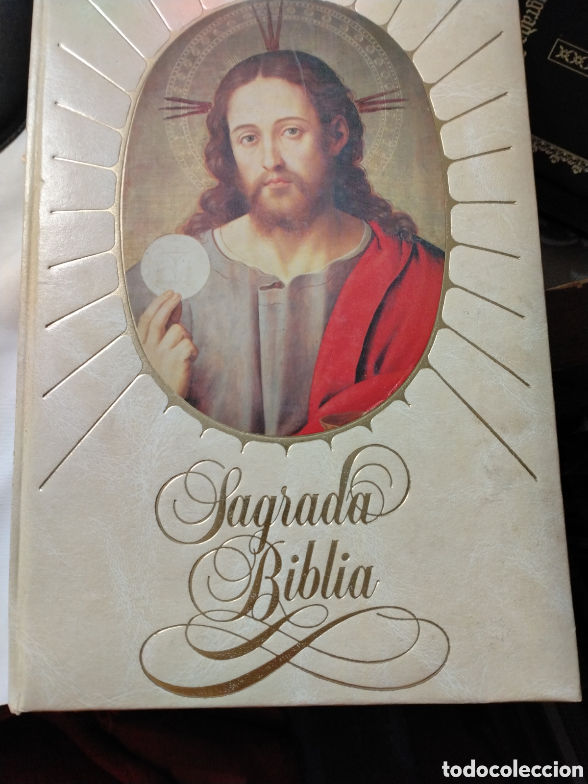 Libros de segunda mano: SAGRADA BIBLIA - TRADUCCI&Oacute;N VULGATA LATINA - P. PETISCO - F. TORRES AMAT - EDITORIAL OC&Eacute;ANO 1983.