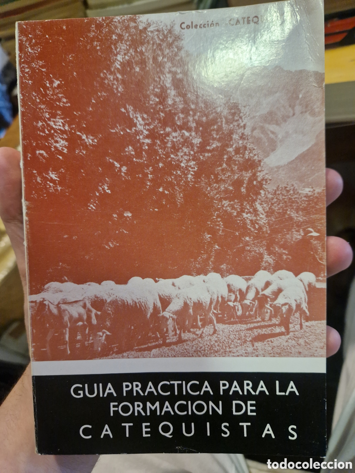 Libros de segunda mano: GU&Iacute;A pr&aacute;ctica para la formaci&oacute;n de catequistas - Foto 1