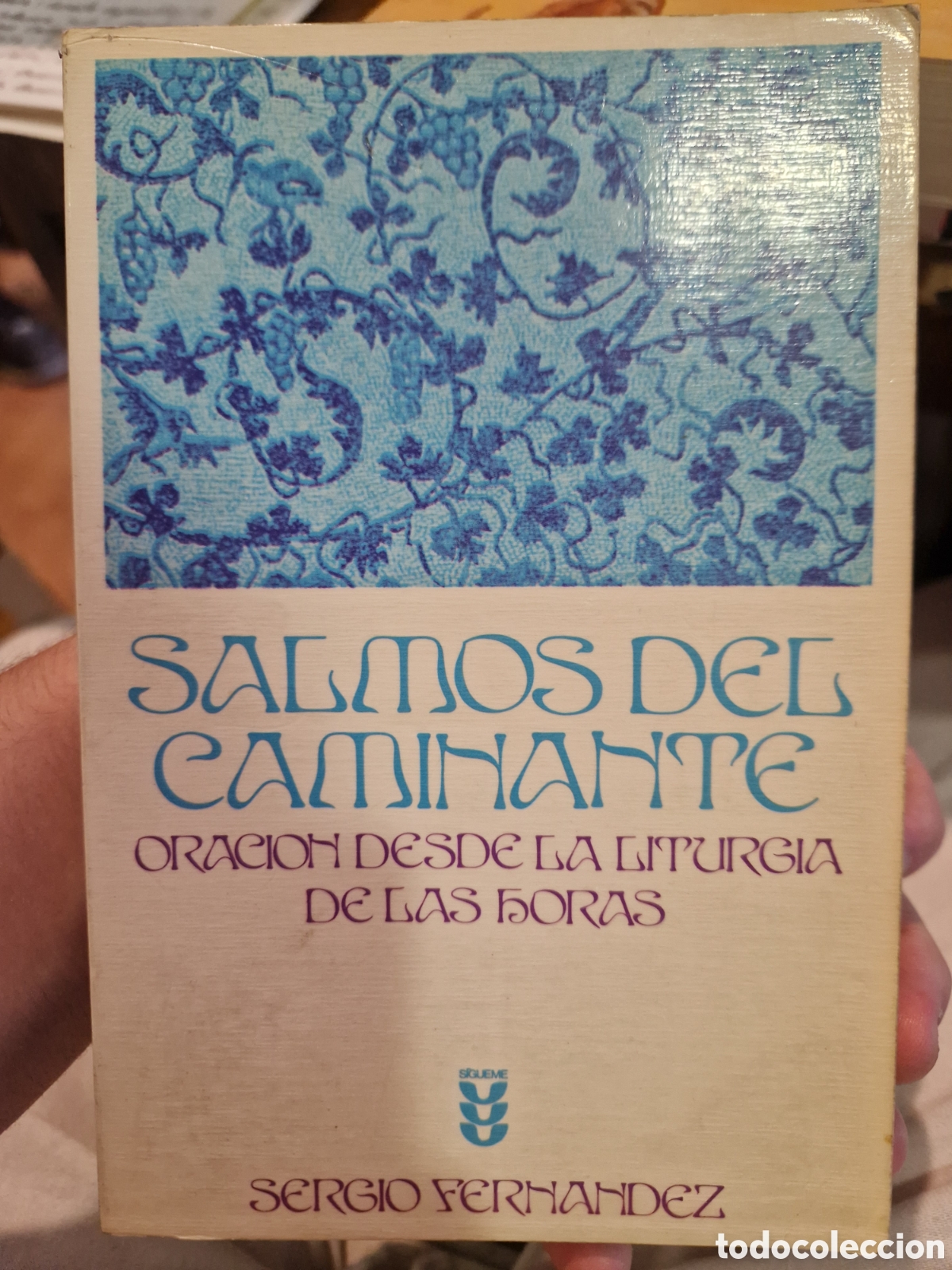 Gebrauchte B&uuml;cher: FERN&Aacute;NDEZ, Sergio Salmos del caminante: Oraci&oacute;n desde la liturgia de las horas
