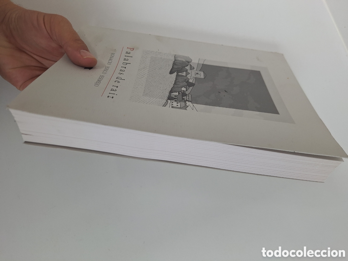 Libros de segunda mano: IGNACIO JERICO, Palabras de raiz - Foto 2