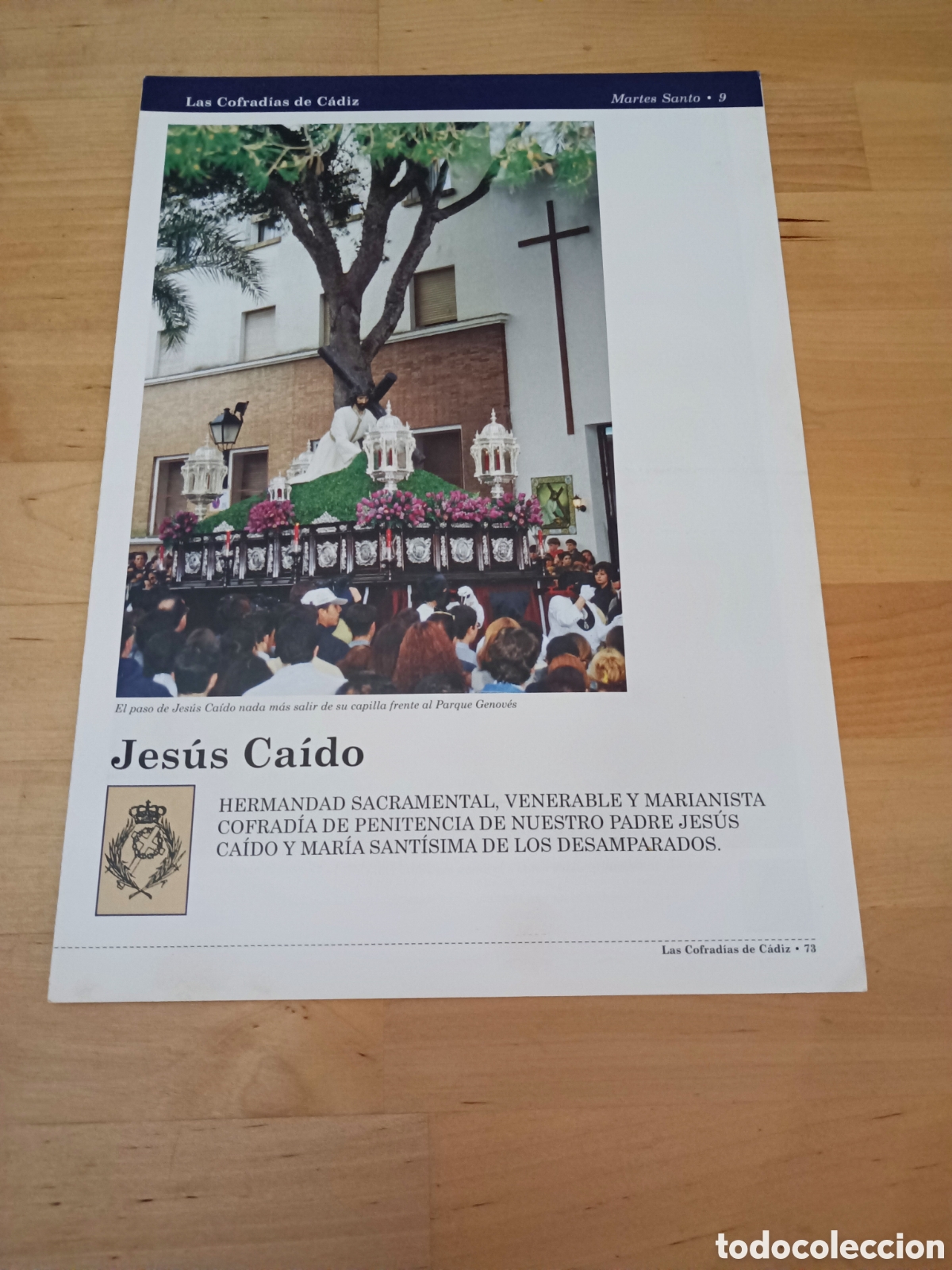 Libros de segunda mano: LAS COFRAD&Iacute;AS DE C&Aacute;DIZ - FASC&Iacute;CULO 9 JES&Uacute;S CA&Iacute;DO - 1999