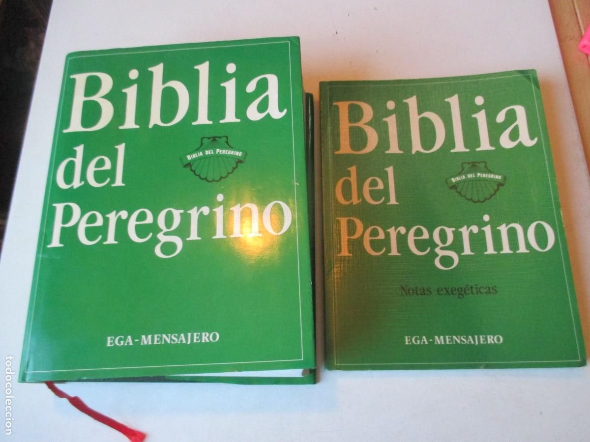 Libros de segunda mano: Biblia del peregrino ( Biblia + notas exeg&eacute;ticas) W42639