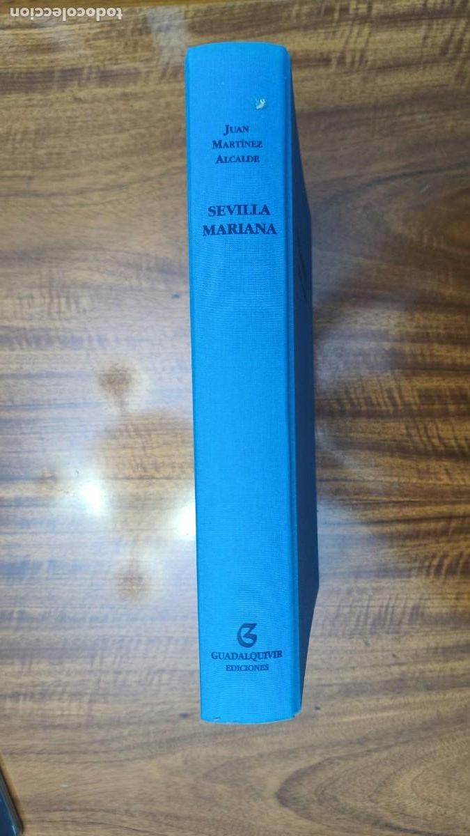Libros de segunda mano: Sevilla Mariana juan martinez alcaide - Foto 6