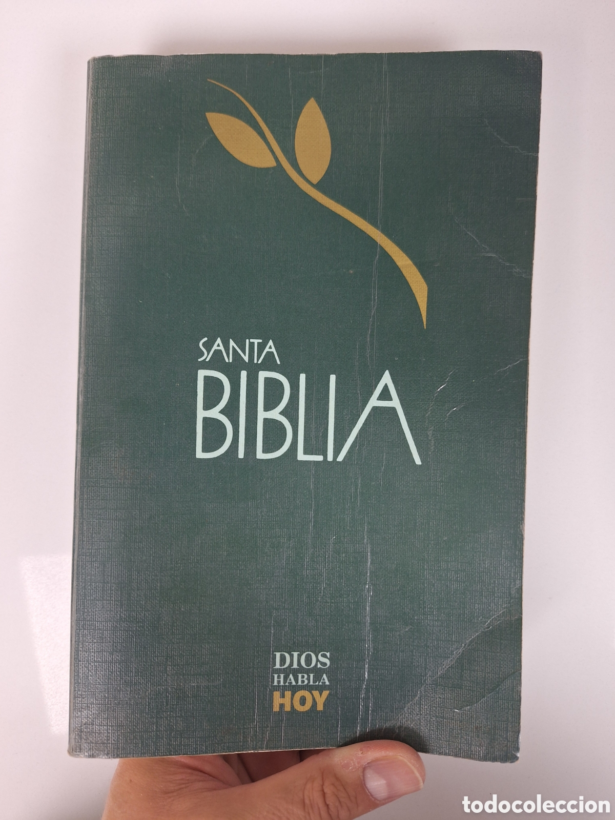 Libros de segunda mano: Santa Biblia Dios Habla Hoy