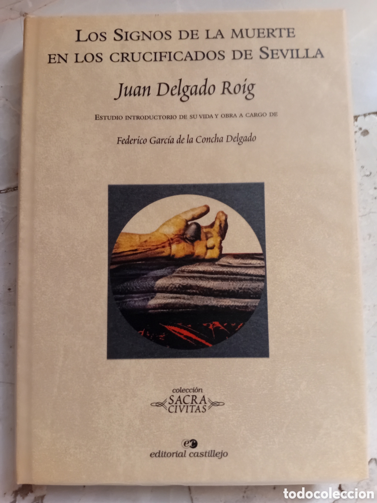 Libros de segunda mano: LOS SIGNOS DE LA MUERTE EN LOS CRUCIFICADOS DE SEVILLA (JUAN DELGADO ROIG)
