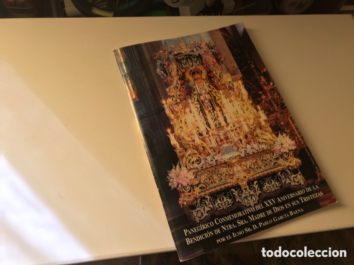 Libros de segunda mano: Paneg&iacute;rico conmemorativo del 25 aniversario de la bendici&oacute;n de Nuestra Se&ntilde;ora, madre De Dios