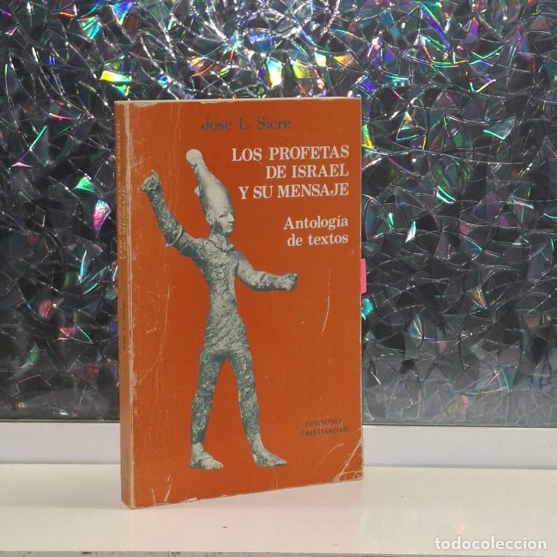 Gebrauchte B&uuml;cher: Los Profetas de Israel y su Mensaje: Antolog&iacute;a de Textos - Jos&eacute; Luis Sicre - Ediciones Cristiandad