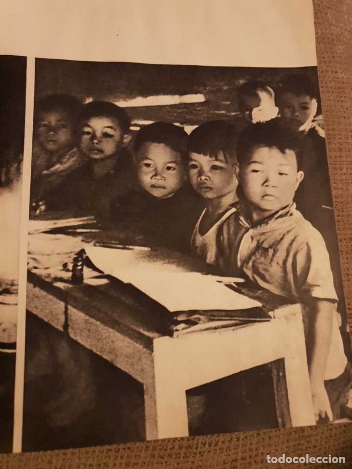 Libros de segunda mano: Vietnam Lucha - Foto 2