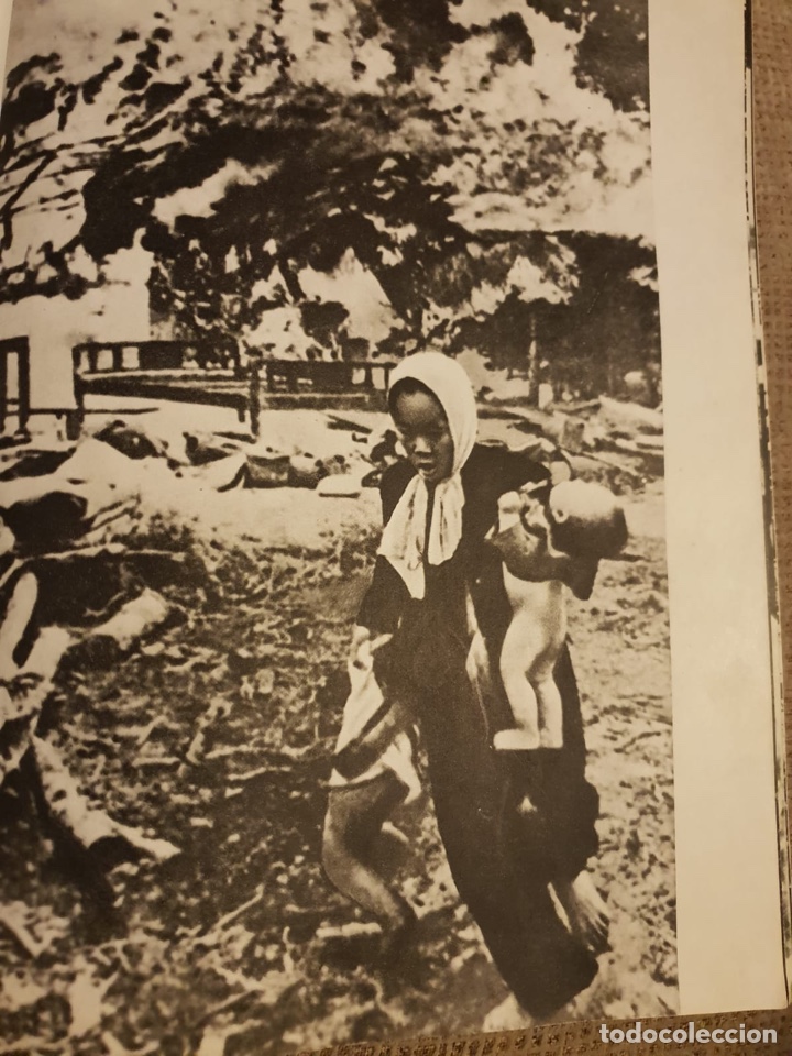 Libros de segunda mano: Vietnam Lucha - Foto 6