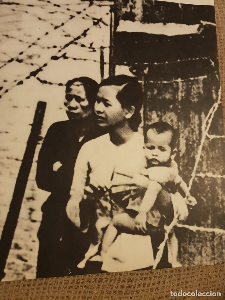 Libros de segunda mano: Vietnam Lucha - Foto 8