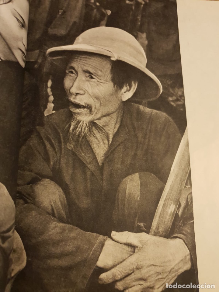 Libros de segunda mano: Vietnam Lucha - Foto 11