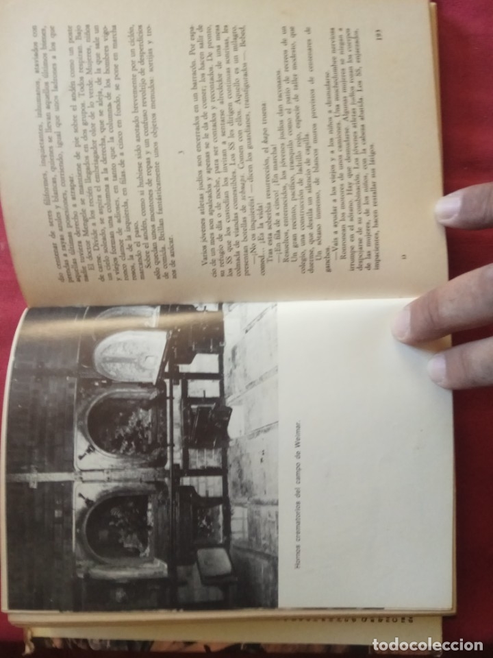 Libros de segunda mano: la ciencia del exterminio-silvain reiner. - Foto 5