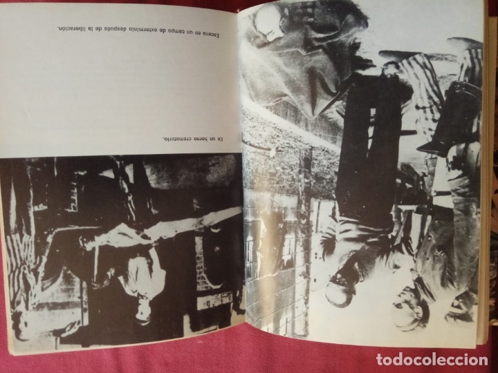 Libros de segunda mano: la ciencia del exterminio-silvain reiner. - Foto 6