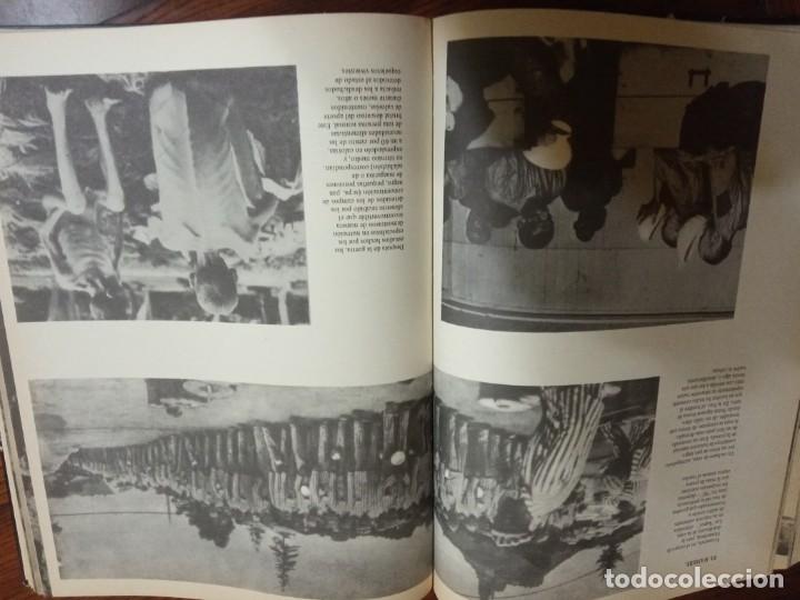 Libros de segunda mano: DEPORTACION - EDITORIAL PETRONIO 1969. - Foto 3