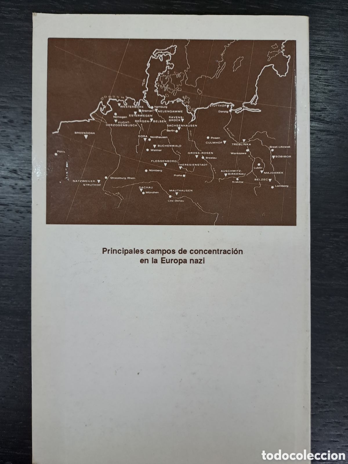 Libros de segunda mano: Ahora que son las 12... - Asi era Edith Stein - E.gil de muro - Foto 2