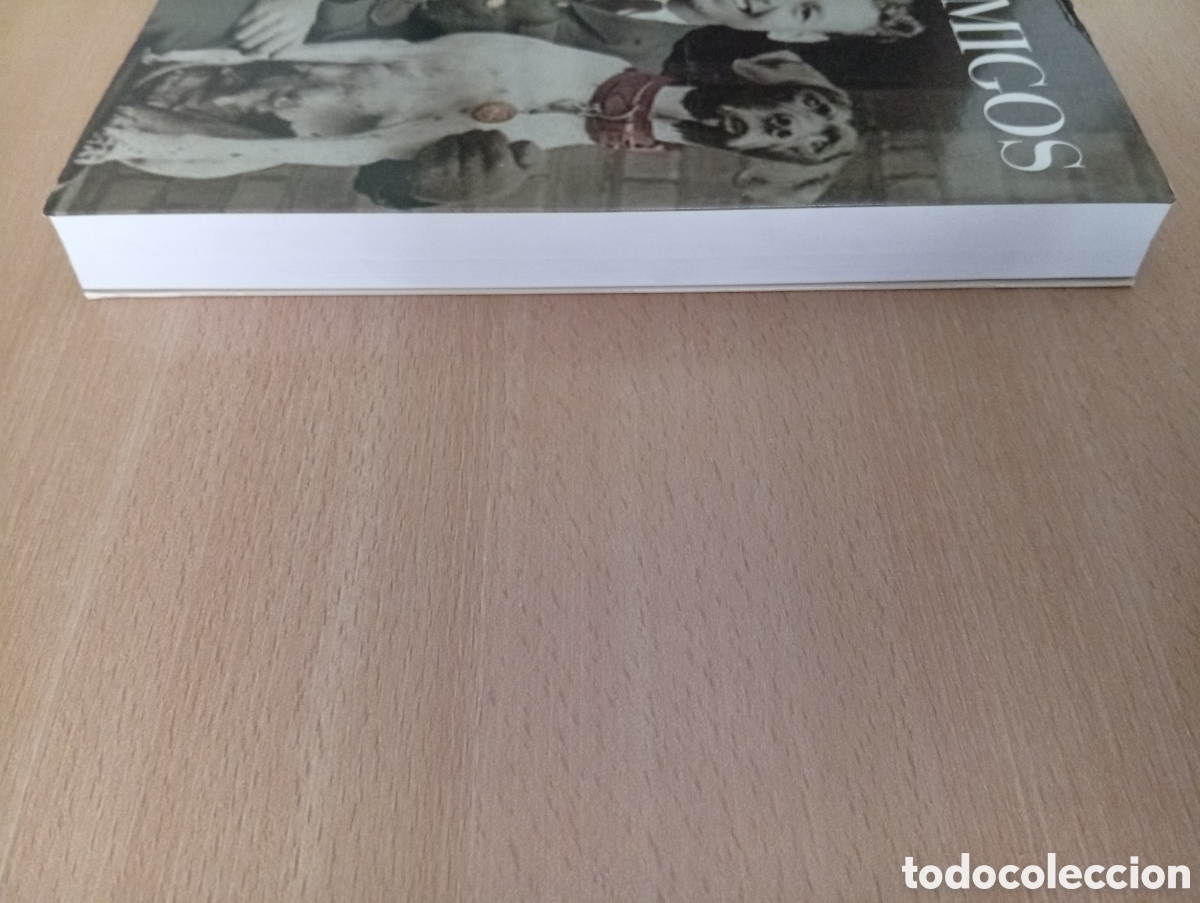 Libros de segunda mano: DOS AMIGOS. Robert Weintraub - Foto 6