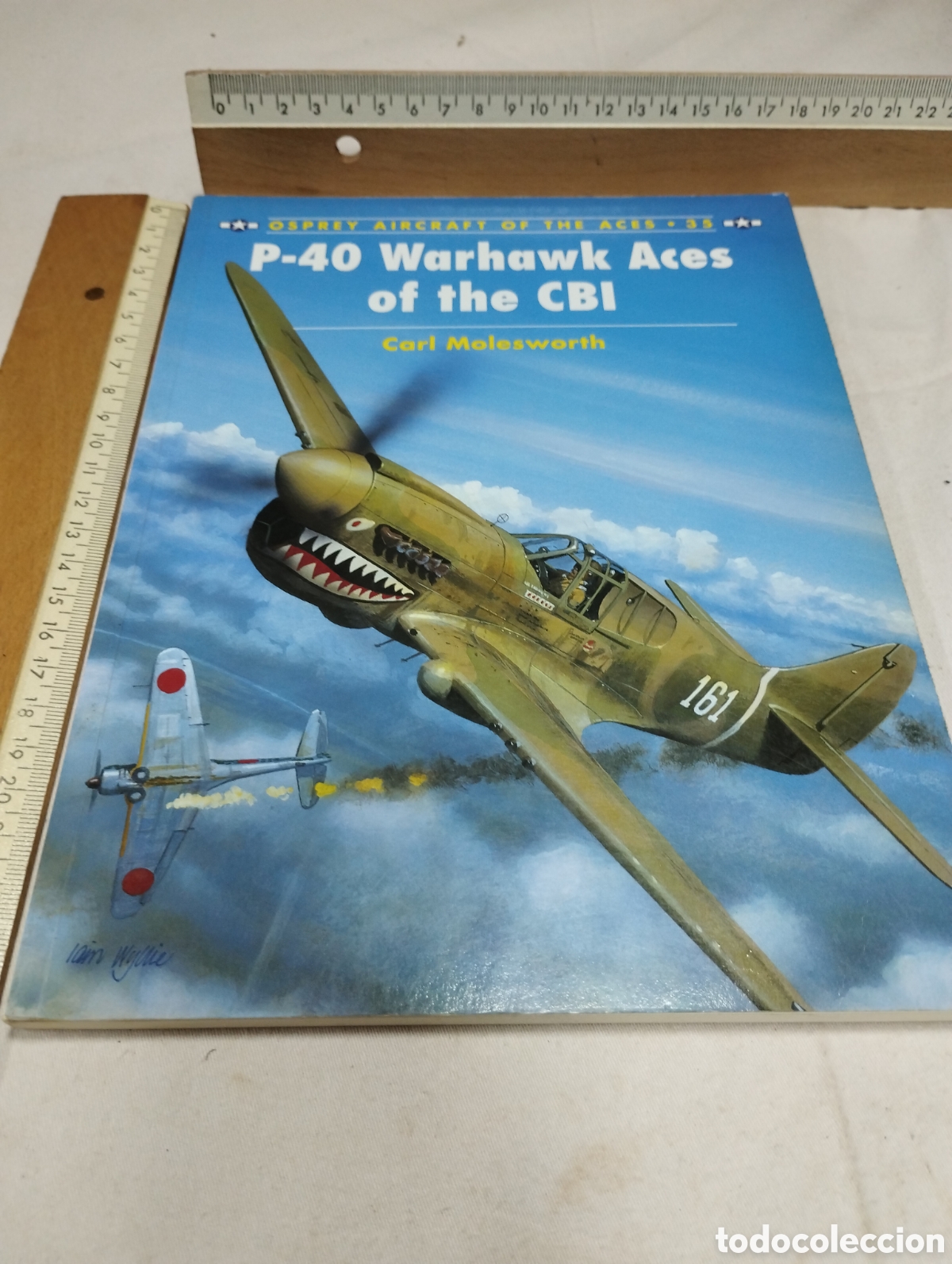 Libros de segunda mano: P-40 Warhawk Aces of the CBI. Carl Molesworth, 1995