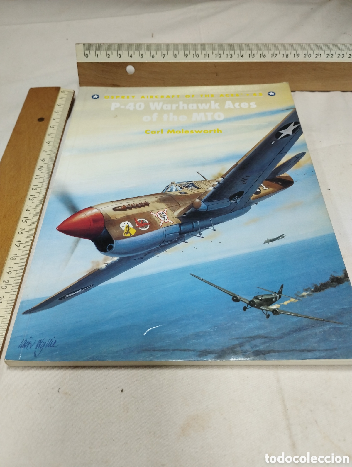 Libros de segunda mano: P-40 Warhawk Aces of the MTO. Carl Molesworth, 2002