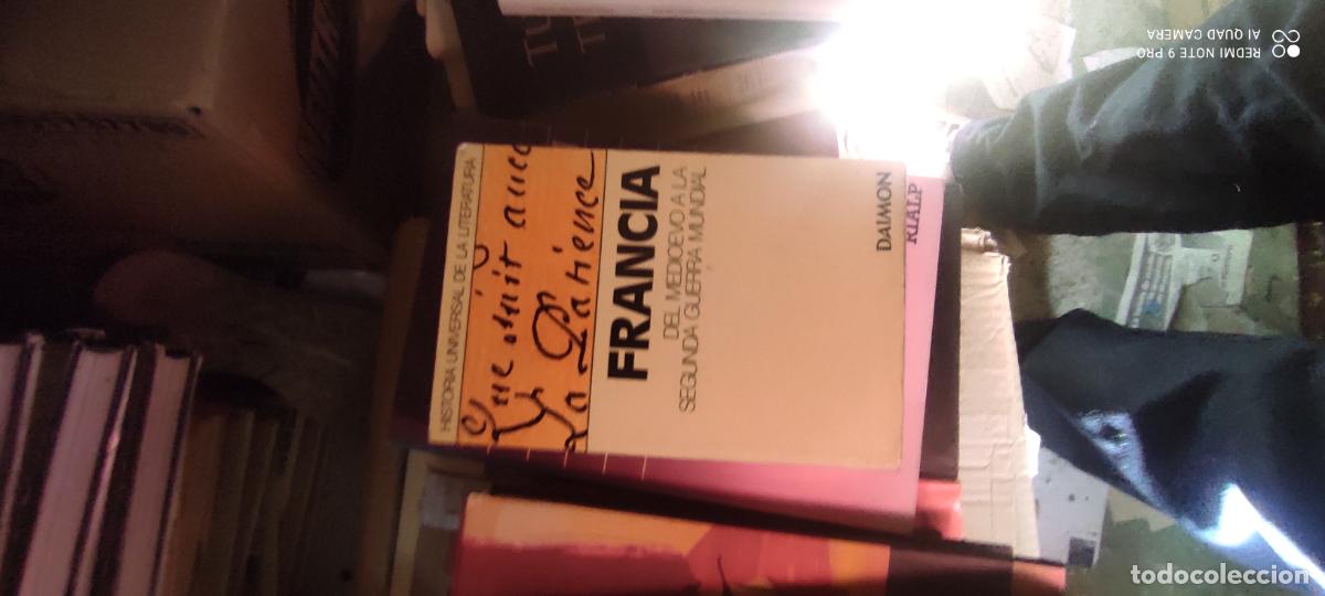 Libros de segunda mano: FRANCIA DEL MEDIEVO A LA SEGUNDA GUERRA MUNDIAL LE&Oacute;N THOORENS EDITORIAL DAIMON A&Ntilde;O 1977