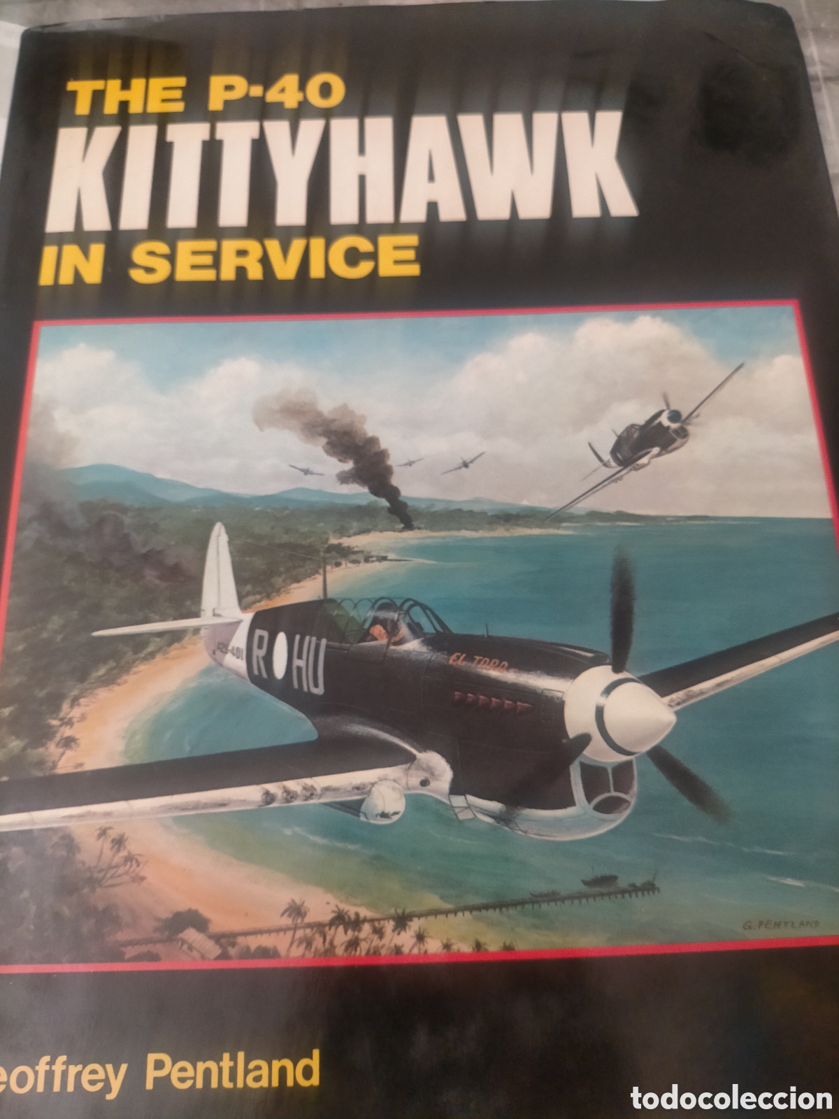 Libros de segunda mano: The p 40 Kittyhawk in service autor petland