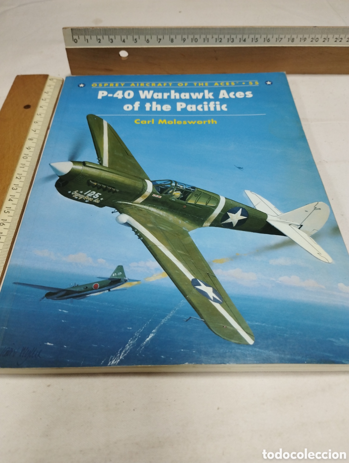 Libros de segunda mano: P-40 Warhawk aces of the Pacific. Carl Molesworth, 2003