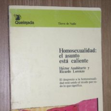 Libros de segunda mano: HOMOSEXUALIDAD: EL ASUNTO ESTÁ CALIENTE POR H. ANABITARTE Y R. LORENZO DE ED. QUEIMADA, MADRID 1979. Lote 14178049