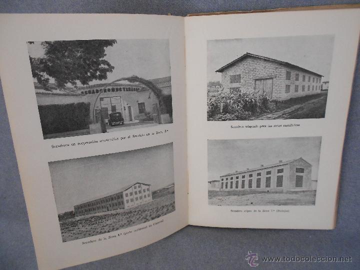 Libros de segunda mano: HISTORIA DEL CULTIVO DE TABACO EN ESPA&Ntilde;A - Foto 4