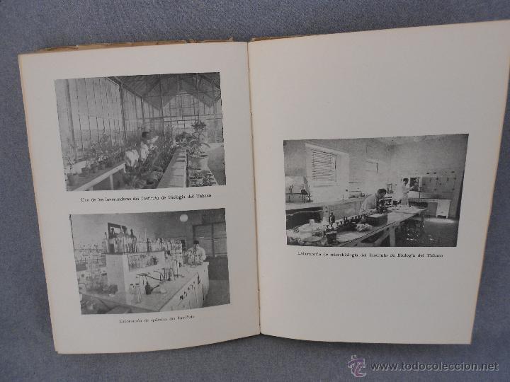 Libros de segunda mano: HISTORIA DEL CULTIVO DE TABACO EN ESPA&Ntilde;A - Foto 5