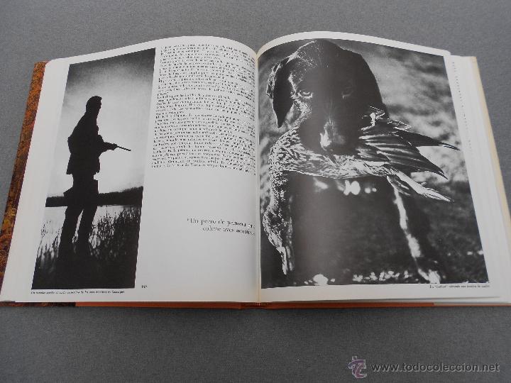 Libros de segunda mano: ALEGRIAS DE LA CAZA - Foto 4