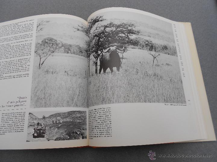 Libros de segunda mano: ALEGRIAS DE LA CAZA - Foto 6