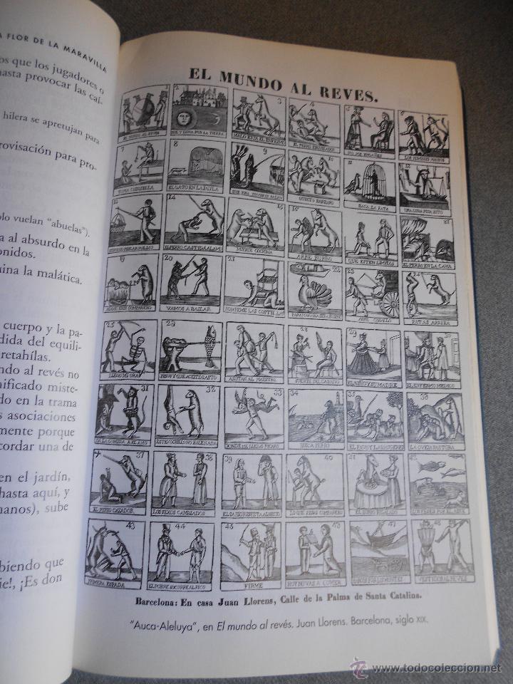 Libros de segunda mano: LA FLOR DE LA MARAVILLA - Foto 4