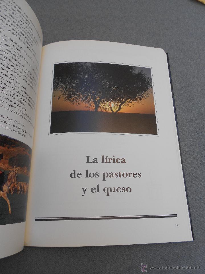 Libros de segunda mano: LA MANCHA Y EL QUESO MANCHEGO - Foto 3