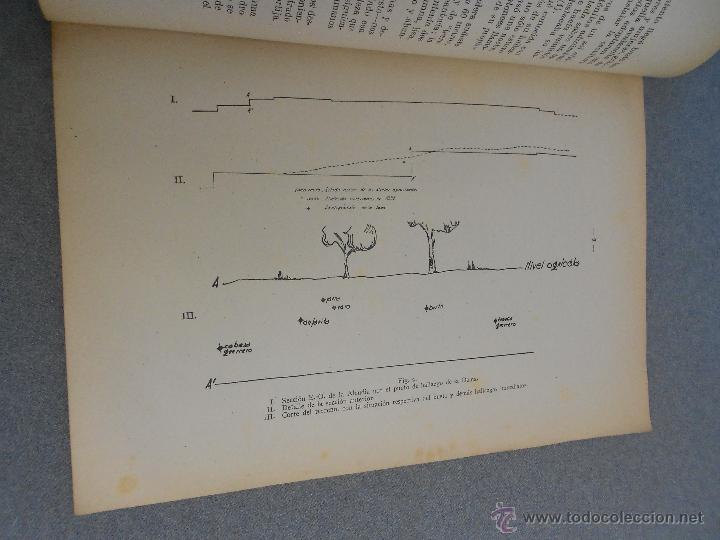 Libros de segunda mano: LA DAMA DE ELCHE. - Foto 5