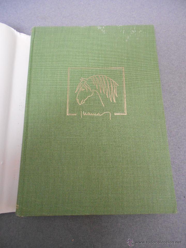 Libros de segunda mano: CABALLO ESPA&Ntilde;OL, CABALLO DE REYES. - Foto 3