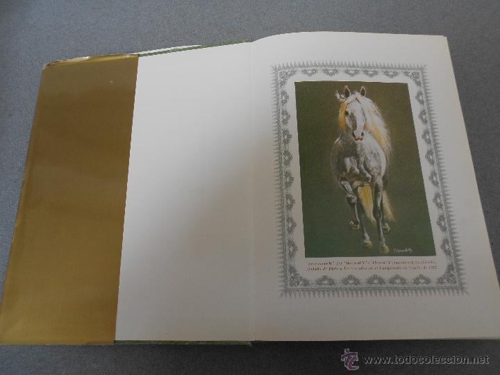 Libros de segunda mano: CABALLO ESPA&Ntilde;OL, CABALLO DE REYES. - Foto 4