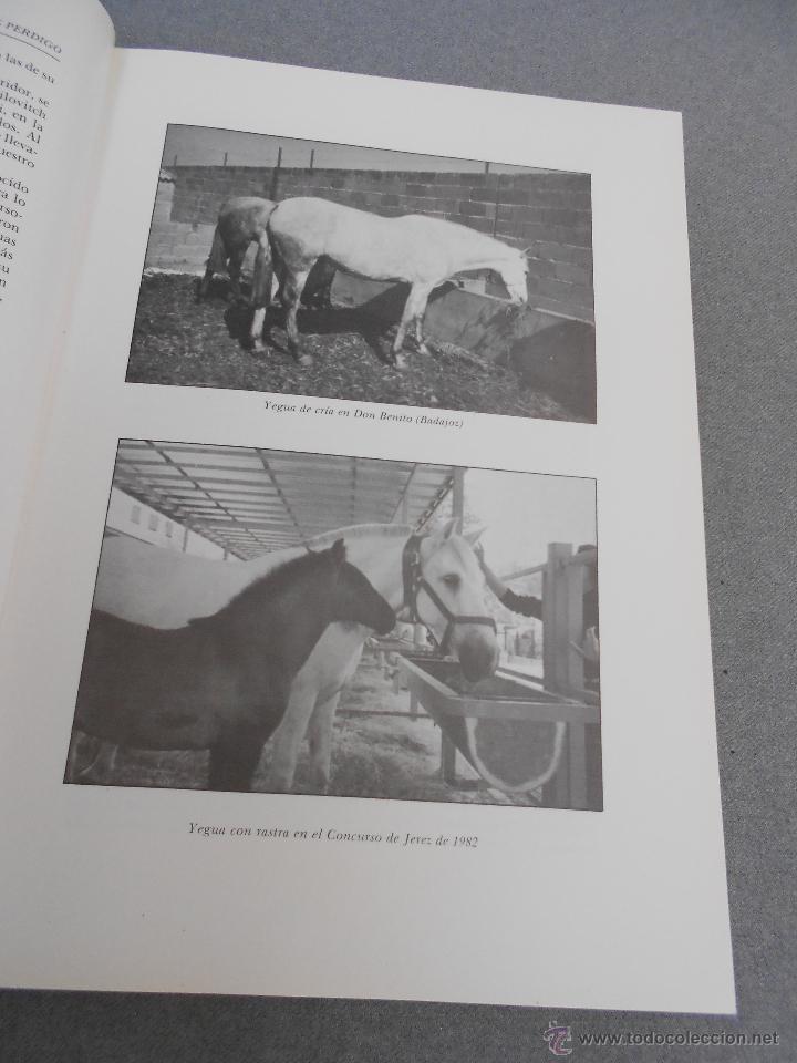 Libros de segunda mano: CABALLO ESPA&Ntilde;OL, CABALLO DE REYES. - Foto 9